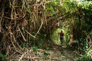 BIB: 
                            <button type="button" onclick="openModal(25212062)" class="btn btn-primary btn-sm float-right btn-popup" data-toggle="modal" data-target=".modal-high-quality">
                        <i class="fas fa-shopping-cart"></i> Add to Cart
                    </button>
                                            <button type="button" onclick="isThisMe(25212062, true)" class="btn btn-success btn-sm float-right btn-popup btn-isme hidden" data-toggle="tooltip" data-placement="bottom" title="นี่คือรูปของคุณใช่ไหม คลิกที่นี่เพื่อเอาเข้าอัลบั้ม">
                        <i class="fas fa-plus"></i> Add to album
                    </button>
                    <button type="button" onclick="isThisMe(25212062, false)" class="btn btn-warning btn-sm float-right btn-popup btn-isnotme hidden">
                        <i class="fas fa-ban"></i> Remove from album
                    </button>