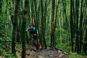 BIB: 
                            <button type="button" onclick="openModal(25211981)" class="btn btn-primary btn-sm float-right btn-popup" data-toggle="modal" data-target=".modal-high-quality">
                        <i class="fas fa-shopping-cart"></i> Add to Cart
                    </button>
                                            <button type="button" onclick="isThisMe(25211981, true)" class="btn btn-success btn-sm float-right btn-popup btn-isme hidden" data-toggle="tooltip" data-placement="bottom" title="นี่คือรูปของคุณใช่ไหม คลิกที่นี่เพื่อเอาเข้าอัลบั้ม">
                        <i class="fas fa-plus"></i> Add to album
                    </button>
                    <button type="button" onclick="isThisMe(25211981, false)" class="btn btn-warning btn-sm float-right btn-popup btn-isnotme hidden">
                        <i class="fas fa-ban"></i> Remove from album
                    </button>