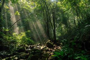 BIB: 
                            <button type="button" onclick="openModal(25212143)" class="btn btn-primary btn-sm float-right btn-popup" data-toggle="modal" data-target=".modal-high-quality">
                        <i class="fas fa-shopping-cart"></i> Add to Cart
                    </button>
                                            <button type="button" onclick="isThisMe(25212143, true)" class="btn btn-success btn-sm float-right btn-popup btn-isme hidden" data-toggle="tooltip" data-placement="bottom" title="นี่คือรูปของคุณใช่ไหม คลิกที่นี่เพื่อเอาเข้าอัลบั้ม">
                        <i class="fas fa-plus"></i> Add to album
                    </button>
                    <button type="button" onclick="isThisMe(25212143, false)" class="btn btn-warning btn-sm float-right btn-popup btn-isnotme hidden">
                        <i class="fas fa-ban"></i> Remove from album
                    </button>