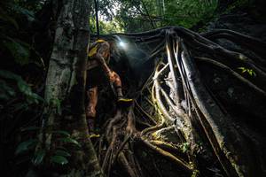 BIB: 
                            <button type="button" onclick="openModal(25211912)" class="btn btn-primary btn-sm float-right btn-popup" data-toggle="modal" data-target=".modal-high-quality">
                        <i class="fas fa-shopping-cart"></i> Add to Cart
                    </button>
                                            <button type="button" onclick="isThisMe(25211912, true)" class="btn btn-success btn-sm float-right btn-popup btn-isme hidden" data-toggle="tooltip" data-placement="bottom" title="นี่คือรูปของคุณใช่ไหม คลิกที่นี่เพื่อเอาเข้าอัลบั้ม">
                        <i class="fas fa-plus"></i> Add to album
                    </button>
                    <button type="button" onclick="isThisMe(25211912, false)" class="btn btn-warning btn-sm float-right btn-popup btn-isnotme hidden">
                        <i class="fas fa-ban"></i> Remove from album
                    </button>