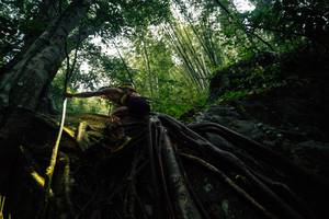 BIB: 
                            <button type="button" onclick="openModal(25211921)" class="btn btn-primary btn-sm float-right btn-popup" data-toggle="modal" data-target=".modal-high-quality">
                        <i class="fas fa-shopping-cart"></i> Add to Cart
                    </button>
                                            <button type="button" onclick="isThisMe(25211921, true)" class="btn btn-success btn-sm float-right btn-popup btn-isme hidden" data-toggle="tooltip" data-placement="bottom" title="นี่คือรูปของคุณใช่ไหม คลิกที่นี่เพื่อเอาเข้าอัลบั้ม">
                        <i class="fas fa-plus"></i> Add to album
                    </button>
                    <button type="button" onclick="isThisMe(25211921, false)" class="btn btn-warning btn-sm float-right btn-popup btn-isnotme hidden">
                        <i class="fas fa-ban"></i> Remove from album
                    </button>