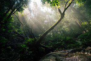 BIB: 
                            <button type="button" onclick="openModal(25212174)" class="btn btn-primary btn-sm float-right btn-popup" data-toggle="modal" data-target=".modal-high-quality">
                        <i class="fas fa-shopping-cart"></i> Add to Cart
                    </button>
                                            <button type="button" onclick="isThisMe(25212174, true)" class="btn btn-success btn-sm float-right btn-popup btn-isme hidden" data-toggle="tooltip" data-placement="bottom" title="นี่คือรูปของคุณใช่ไหม คลิกที่นี่เพื่อเอาเข้าอัลบั้ม">
                        <i class="fas fa-plus"></i> Add to album
                    </button>
                    <button type="button" onclick="isThisMe(25212174, false)" class="btn btn-warning btn-sm float-right btn-popup btn-isnotme hidden">
                        <i class="fas fa-ban"></i> Remove from album
                    </button>