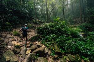 BIB: 
                            <button type="button" onclick="openModal(25212199)" class="btn btn-primary btn-sm float-right btn-popup" data-toggle="modal" data-target=".modal-high-quality">
                        <i class="fas fa-shopping-cart"></i> Add to Cart
                    </button>
                                            <button type="button" onclick="isThisMe(25212199, true)" class="btn btn-success btn-sm float-right btn-popup btn-isme hidden" data-toggle="tooltip" data-placement="bottom" title="นี่คือรูปของคุณใช่ไหม คลิกที่นี่เพื่อเอาเข้าอัลบั้ม">
                        <i class="fas fa-plus"></i> Add to album
                    </button>
                    <button type="button" onclick="isThisMe(25212199, false)" class="btn btn-warning btn-sm float-right btn-popup btn-isnotme hidden">
                        <i class="fas fa-ban"></i> Remove from album
                    </button>