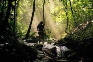 BIB: 
                            <button type="button" onclick="openModal(25212137)" class="btn btn-primary btn-sm float-right btn-popup" data-toggle="modal" data-target=".modal-high-quality">
                        <i class="fas fa-shopping-cart"></i> Add to Cart
                    </button>
                                            <button type="button" onclick="isThisMe(25212137, true)" class="btn btn-success btn-sm float-right btn-popup btn-isme hidden" data-toggle="tooltip" data-placement="bottom" title="นี่คือรูปของคุณใช่ไหม คลิกที่นี่เพื่อเอาเข้าอัลบั้ม">
                        <i class="fas fa-plus"></i> Add to album
                    </button>
                    <button type="button" onclick="isThisMe(25212137, false)" class="btn btn-warning btn-sm float-right btn-popup btn-isnotme hidden">
                        <i class="fas fa-ban"></i> Remove from album
                    </button>