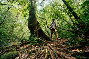 BIB: 
                            <button type="button" onclick="openModal(25212150)" class="btn btn-primary btn-sm float-right btn-popup" data-toggle="modal" data-target=".modal-high-quality">
                        <i class="fas fa-shopping-cart"></i> Add to Cart
                    </button>
                                            <button type="button" onclick="isThisMe(25212150, true)" class="btn btn-success btn-sm float-right btn-popup btn-isme hidden" data-toggle="tooltip" data-placement="bottom" title="นี่คือรูปของคุณใช่ไหม คลิกที่นี่เพื่อเอาเข้าอัลบั้ม">
                        <i class="fas fa-plus"></i> Add to album
                    </button>
                    <button type="button" onclick="isThisMe(25212150, false)" class="btn btn-warning btn-sm float-right btn-popup btn-isnotme hidden">
                        <i class="fas fa-ban"></i> Remove from album
                    </button>