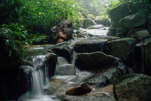 BIB: 
                            <button type="button" onclick="openModal(25212231)" class="btn btn-primary btn-sm float-right btn-popup" data-toggle="modal" data-target=".modal-high-quality">
                        <i class="fas fa-shopping-cart"></i> Add to Cart
                    </button>
                                            <button type="button" onclick="isThisMe(25212231, true)" class="btn btn-success btn-sm float-right btn-popup btn-isme hidden" data-toggle="tooltip" data-placement="bottom" title="นี่คือรูปของคุณใช่ไหม คลิกที่นี่เพื่อเอาเข้าอัลบั้ม">
                        <i class="fas fa-plus"></i> Add to album
                    </button>
                    <button type="button" onclick="isThisMe(25212231, false)" class="btn btn-warning btn-sm float-right btn-popup btn-isnotme hidden">
                        <i class="fas fa-ban"></i> Remove from album
                    </button>