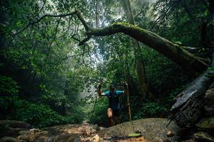 BIB: 
                            <button type="button" onclick="openModal(25212181)" class="btn btn-primary btn-sm float-right btn-popup" data-toggle="modal" data-target=".modal-high-quality">
                        <i class="fas fa-shopping-cart"></i> Add to Cart
                    </button>
                                            <button type="button" onclick="isThisMe(25212181, true)" class="btn btn-success btn-sm float-right btn-popup btn-isme hidden" data-toggle="tooltip" data-placement="bottom" title="นี่คือรูปของคุณใช่ไหม คลิกที่นี่เพื่อเอาเข้าอัลบั้ม">
                        <i class="fas fa-plus"></i> Add to album
                    </button>
                    <button type="button" onclick="isThisMe(25212181, false)" class="btn btn-warning btn-sm float-right btn-popup btn-isnotme hidden">
                        <i class="fas fa-ban"></i> Remove from album
                    </button>