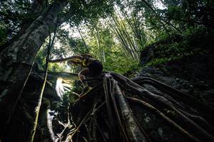 BIB: 
                            <button type="button" onclick="openModal(25211916)" class="btn btn-primary btn-sm float-right btn-popup" data-toggle="modal" data-target=".modal-high-quality">
                        <i class="fas fa-shopping-cart"></i> Add to Cart
                    </button>
                                            <button type="button" onclick="isThisMe(25211916, true)" class="btn btn-success btn-sm float-right btn-popup btn-isme hidden" data-toggle="tooltip" data-placement="bottom" title="นี่คือรูปของคุณใช่ไหม คลิกที่นี่เพื่อเอาเข้าอัลบั้ม">
                        <i class="fas fa-plus"></i> Add to album
                    </button>
                    <button type="button" onclick="isThisMe(25211916, false)" class="btn btn-warning btn-sm float-right btn-popup btn-isnotme hidden">
                        <i class="fas fa-ban"></i> Remove from album
                    </button>