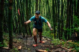 BIB: 
                            <button type="button" onclick="openModal(25211977)" class="btn btn-primary btn-sm float-right btn-popup" data-toggle="modal" data-target=".modal-high-quality">
                        <i class="fas fa-shopping-cart"></i> Add to Cart
                    </button>
                                            <button type="button" onclick="isThisMe(25211977, true)" class="btn btn-success btn-sm float-right btn-popup btn-isme hidden" data-toggle="tooltip" data-placement="bottom" title="นี่คือรูปของคุณใช่ไหม คลิกที่นี่เพื่อเอาเข้าอัลบั้ม">
                        <i class="fas fa-plus"></i> Add to album
                    </button>
                    <button type="button" onclick="isThisMe(25211977, false)" class="btn btn-warning btn-sm float-right btn-popup btn-isnotme hidden">
                        <i class="fas fa-ban"></i> Remove from album
                    </button>