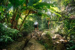 BIB: 
                            <button type="button" onclick="openModal(25212085)" class="btn btn-primary btn-sm float-right btn-popup" data-toggle="modal" data-target=".modal-high-quality">
                        <i class="fas fa-shopping-cart"></i> Add to Cart
                    </button>
                                            <button type="button" onclick="isThisMe(25212085, true)" class="btn btn-success btn-sm float-right btn-popup btn-isme hidden" data-toggle="tooltip" data-placement="bottom" title="นี่คือรูปของคุณใช่ไหม คลิกที่นี่เพื่อเอาเข้าอัลบั้ม">
                        <i class="fas fa-plus"></i> Add to album
                    </button>
                    <button type="button" onclick="isThisMe(25212085, false)" class="btn btn-warning btn-sm float-right btn-popup btn-isnotme hidden">
                        <i class="fas fa-ban"></i> Remove from album
                    </button>