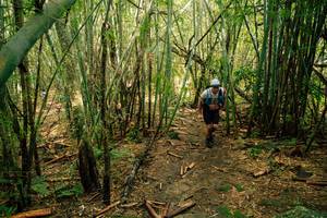 BIB: 
                            <button type="button" onclick="openModal(25212058)" class="btn btn-primary btn-sm float-right btn-popup" data-toggle="modal" data-target=".modal-high-quality">
                        <i class="fas fa-shopping-cart"></i> Add to Cart
                    </button>
                                            <button type="button" onclick="isThisMe(25212058, true)" class="btn btn-success btn-sm float-right btn-popup btn-isme hidden" data-toggle="tooltip" data-placement="bottom" title="นี่คือรูปของคุณใช่ไหม คลิกที่นี่เพื่อเอาเข้าอัลบั้ม">
                        <i class="fas fa-plus"></i> Add to album
                    </button>
                    <button type="button" onclick="isThisMe(25212058, false)" class="btn btn-warning btn-sm float-right btn-popup btn-isnotme hidden">
                        <i class="fas fa-ban"></i> Remove from album
                    </button>