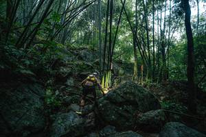 BIB: 
                            <button type="button" onclick="openModal(25211893)" class="btn btn-primary btn-sm float-right btn-popup" data-toggle="modal" data-target=".modal-high-quality">
                        <i class="fas fa-shopping-cart"></i> Add to Cart
                    </button>
                                            <button type="button" onclick="isThisMe(25211893, true)" class="btn btn-success btn-sm float-right btn-popup btn-isme hidden" data-toggle="tooltip" data-placement="bottom" title="นี่คือรูปของคุณใช่ไหม คลิกที่นี่เพื่อเอาเข้าอัลบั้ม">
                        <i class="fas fa-plus"></i> Add to album
                    </button>
                    <button type="button" onclick="isThisMe(25211893, false)" class="btn btn-warning btn-sm float-right btn-popup btn-isnotme hidden">
                        <i class="fas fa-ban"></i> Remove from album
                    </button>