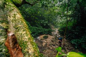 BIB: 
                            <button type="button" onclick="openModal(25212203)" class="btn btn-primary btn-sm float-right btn-popup" data-toggle="modal" data-target=".modal-high-quality">
                        <i class="fas fa-shopping-cart"></i> Add to Cart
                    </button>
                                            <button type="button" onclick="isThisMe(25212203, true)" class="btn btn-success btn-sm float-right btn-popup btn-isme hidden" data-toggle="tooltip" data-placement="bottom" title="นี่คือรูปของคุณใช่ไหม คลิกที่นี่เพื่อเอาเข้าอัลบั้ม">
                        <i class="fas fa-plus"></i> Add to album
                    </button>
                    <button type="button" onclick="isThisMe(25212203, false)" class="btn btn-warning btn-sm float-right btn-popup btn-isnotme hidden">
                        <i class="fas fa-ban"></i> Remove from album
                    </button>