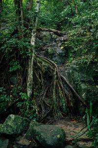 BIB: 
                            <button type="button" onclick="openModal(25211944)" class="btn btn-primary btn-sm float-right btn-popup" data-toggle="modal" data-target=".modal-high-quality">
                        <i class="fas fa-shopping-cart"></i> Add to Cart
                    </button>
                                            <button type="button" onclick="isThisMe(25211944, true)" class="btn btn-success btn-sm float-right btn-popup btn-isme hidden" data-toggle="tooltip" data-placement="bottom" title="นี่คือรูปของคุณใช่ไหม คลิกที่นี่เพื่อเอาเข้าอัลบั้ม">
                        <i class="fas fa-plus"></i> Add to album
                    </button>
                    <button type="button" onclick="isThisMe(25211944, false)" class="btn btn-warning btn-sm float-right btn-popup btn-isnotme hidden">
                        <i class="fas fa-ban"></i> Remove from album
                    </button>