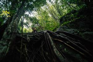 BIB: 
                            <button type="button" onclick="openModal(25211929)" class="btn btn-primary btn-sm float-right btn-popup" data-toggle="modal" data-target=".modal-high-quality">
                        <i class="fas fa-shopping-cart"></i> Add to Cart
                    </button>
                                            <button type="button" onclick="isThisMe(25211929, true)" class="btn btn-success btn-sm float-right btn-popup btn-isme hidden" data-toggle="tooltip" data-placement="bottom" title="นี่คือรูปของคุณใช่ไหม คลิกที่นี่เพื่อเอาเข้าอัลบั้ม">
                        <i class="fas fa-plus"></i> Add to album
                    </button>
                    <button type="button" onclick="isThisMe(25211929, false)" class="btn btn-warning btn-sm float-right btn-popup btn-isnotme hidden">
                        <i class="fas fa-ban"></i> Remove from album
                    </button>