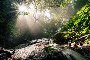 BIB: 
                            <button type="button" onclick="openModal(25212165)" class="btn btn-primary btn-sm float-right btn-popup" data-toggle="modal" data-target=".modal-high-quality">
                        <i class="fas fa-shopping-cart"></i> Add to Cart
                    </button>
                                            <button type="button" onclick="isThisMe(25212165, true)" class="btn btn-success btn-sm float-right btn-popup btn-isme hidden" data-toggle="tooltip" data-placement="bottom" title="นี่คือรูปของคุณใช่ไหม คลิกที่นี่เพื่อเอาเข้าอัลบั้ม">
                        <i class="fas fa-plus"></i> Add to album
                    </button>
                    <button type="button" onclick="isThisMe(25212165, false)" class="btn btn-warning btn-sm float-right btn-popup btn-isnotme hidden">
                        <i class="fas fa-ban"></i> Remove from album
                    </button>