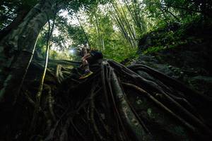 BIB: 
                            <button type="button" onclick="openModal(25211925)" class="btn btn-primary btn-sm float-right btn-popup" data-toggle="modal" data-target=".modal-high-quality">
                        <i class="fas fa-shopping-cart"></i> Add to Cart
                    </button>
                                            <button type="button" onclick="isThisMe(25211925, true)" class="btn btn-success btn-sm float-right btn-popup btn-isme hidden" data-toggle="tooltip" data-placement="bottom" title="นี่คือรูปของคุณใช่ไหม คลิกที่นี่เพื่อเอาเข้าอัลบั้ม">
                        <i class="fas fa-plus"></i> Add to album
                    </button>
                    <button type="button" onclick="isThisMe(25211925, false)" class="btn btn-warning btn-sm float-right btn-popup btn-isnotme hidden">
                        <i class="fas fa-ban"></i> Remove from album
                    </button>