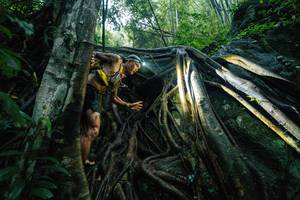 BIB: 
                            <button type="button" onclick="openModal(25211908)" class="btn btn-primary btn-sm float-right btn-popup" data-toggle="modal" data-target=".modal-high-quality">
                        <i class="fas fa-shopping-cart"></i> Add to Cart
                    </button>
                                            <button type="button" onclick="isThisMe(25211908, true)" class="btn btn-success btn-sm float-right btn-popup btn-isme hidden" data-toggle="tooltip" data-placement="bottom" title="นี่คือรูปของคุณใช่ไหม คลิกที่นี่เพื่อเอาเข้าอัลบั้ม">
                        <i class="fas fa-plus"></i> Add to album
                    </button>
                    <button type="button" onclick="isThisMe(25211908, false)" class="btn btn-warning btn-sm float-right btn-popup btn-isnotme hidden">
                        <i class="fas fa-ban"></i> Remove from album
                    </button>