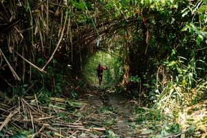 BIB: 
                            <button type="button" onclick="openModal(25212064)" class="btn btn-primary btn-sm float-right btn-popup" data-toggle="modal" data-target=".modal-high-quality">
                        <i class="fas fa-shopping-cart"></i> Add to Cart
                    </button>
                                            <button type="button" onclick="isThisMe(25212064, true)" class="btn btn-success btn-sm float-right btn-popup btn-isme hidden" data-toggle="tooltip" data-placement="bottom" title="นี่คือรูปของคุณใช่ไหม คลิกที่นี่เพื่อเอาเข้าอัลบั้ม">
                        <i class="fas fa-plus"></i> Add to album
                    </button>
                    <button type="button" onclick="isThisMe(25212064, false)" class="btn btn-warning btn-sm float-right btn-popup btn-isnotme hidden">
                        <i class="fas fa-ban"></i> Remove from album
                    </button>