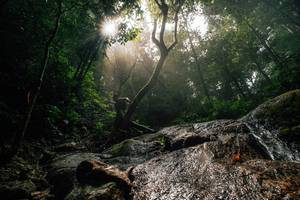 BIB: 
                            <button type="button" onclick="openModal(25212160)" class="btn btn-primary btn-sm float-right btn-popup" data-toggle="modal" data-target=".modal-high-quality">
                        <i class="fas fa-shopping-cart"></i> Add to Cart
                    </button>
                                            <button type="button" onclick="isThisMe(25212160, true)" class="btn btn-success btn-sm float-right btn-popup btn-isme hidden" data-toggle="tooltip" data-placement="bottom" title="นี่คือรูปของคุณใช่ไหม คลิกที่นี่เพื่อเอาเข้าอัลบั้ม">
                        <i class="fas fa-plus"></i> Add to album
                    </button>
                    <button type="button" onclick="isThisMe(25212160, false)" class="btn btn-warning btn-sm float-right btn-popup btn-isnotme hidden">
                        <i class="fas fa-ban"></i> Remove from album
                    </button>