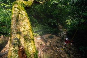 BIB: 
                            <button type="button" onclick="openModal(25212192)" class="btn btn-primary btn-sm float-right btn-popup" data-toggle="modal" data-target=".modal-high-quality">
                        <i class="fas fa-shopping-cart"></i> Add to Cart
                    </button>
                                            <button type="button" onclick="isThisMe(25212192, true)" class="btn btn-success btn-sm float-right btn-popup btn-isme hidden" data-toggle="tooltip" data-placement="bottom" title="นี่คือรูปของคุณใช่ไหม คลิกที่นี่เพื่อเอาเข้าอัลบั้ม">
                        <i class="fas fa-plus"></i> Add to album
                    </button>
                    <button type="button" onclick="isThisMe(25212192, false)" class="btn btn-warning btn-sm float-right btn-popup btn-isnotme hidden">
                        <i class="fas fa-ban"></i> Remove from album
                    </button>