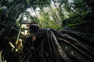 BIB: 
                            <button type="button" onclick="openModal(25211917)" class="btn btn-primary btn-sm float-right btn-popup" data-toggle="modal" data-target=".modal-high-quality">
                        <i class="fas fa-shopping-cart"></i> Add to Cart
                    </button>
                                            <button type="button" onclick="isThisMe(25211917, true)" class="btn btn-success btn-sm float-right btn-popup btn-isme hidden" data-toggle="tooltip" data-placement="bottom" title="นี่คือรูปของคุณใช่ไหม คลิกที่นี่เพื่อเอาเข้าอัลบั้ม">
                        <i class="fas fa-plus"></i> Add to album
                    </button>
                    <button type="button" onclick="isThisMe(25211917, false)" class="btn btn-warning btn-sm float-right btn-popup btn-isnotme hidden">
                        <i class="fas fa-ban"></i> Remove from album
                    </button>