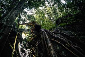 BIB: 
                            <button type="button" onclick="openModal(25211920)" class="btn btn-primary btn-sm float-right btn-popup" data-toggle="modal" data-target=".modal-high-quality">
                        <i class="fas fa-shopping-cart"></i> Add to Cart
                    </button>
                                            <button type="button" onclick="isThisMe(25211920, true)" class="btn btn-success btn-sm float-right btn-popup btn-isme hidden" data-toggle="tooltip" data-placement="bottom" title="นี่คือรูปของคุณใช่ไหม คลิกที่นี่เพื่อเอาเข้าอัลบั้ม">
                        <i class="fas fa-plus"></i> Add to album
                    </button>
                    <button type="button" onclick="isThisMe(25211920, false)" class="btn btn-warning btn-sm float-right btn-popup btn-isnotme hidden">
                        <i class="fas fa-ban"></i> Remove from album
                    </button>