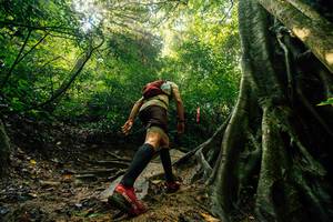 BIB: 
                            <button type="button" onclick="openModal(25212117)" class="btn btn-primary btn-sm float-right btn-popup" data-toggle="modal" data-target=".modal-high-quality">
                        <i class="fas fa-shopping-cart"></i> Add to Cart
                    </button>
                                            <button type="button" onclick="isThisMe(25212117, true)" class="btn btn-success btn-sm float-right btn-popup btn-isme hidden" data-toggle="tooltip" data-placement="bottom" title="นี่คือรูปของคุณใช่ไหม คลิกที่นี่เพื่อเอาเข้าอัลบั้ม">
                        <i class="fas fa-plus"></i> Add to album
                    </button>
                    <button type="button" onclick="isThisMe(25212117, false)" class="btn btn-warning btn-sm float-right btn-popup btn-isnotme hidden">
                        <i class="fas fa-ban"></i> Remove from album
                    </button>