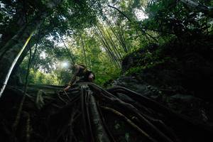 BIB: 
                            <button type="button" onclick="openModal(25211924)" class="btn btn-primary btn-sm float-right btn-popup" data-toggle="modal" data-target=".modal-high-quality">
                        <i class="fas fa-shopping-cart"></i> Add to Cart
                    </button>
                                            <button type="button" onclick="isThisMe(25211924, true)" class="btn btn-success btn-sm float-right btn-popup btn-isme hidden" data-toggle="tooltip" data-placement="bottom" title="นี่คือรูปของคุณใช่ไหม คลิกที่นี่เพื่อเอาเข้าอัลบั้ม">
                        <i class="fas fa-plus"></i> Add to album
                    </button>
                    <button type="button" onclick="isThisMe(25211924, false)" class="btn btn-warning btn-sm float-right btn-popup btn-isnotme hidden">
                        <i class="fas fa-ban"></i> Remove from album
                    </button>