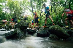 BIB: 
                            <button type="button" onclick="openModal(25212239)" class="btn btn-primary btn-sm float-right btn-popup" data-toggle="modal" data-target=".modal-high-quality">
                        <i class="fas fa-shopping-cart"></i> Add to Cart
                    </button>
                                            <button type="button" onclick="isThisMe(25212239, true)" class="btn btn-success btn-sm float-right btn-popup btn-isme hidden" data-toggle="tooltip" data-placement="bottom" title="นี่คือรูปของคุณใช่ไหม คลิกที่นี่เพื่อเอาเข้าอัลบั้ม">
                        <i class="fas fa-plus"></i> Add to album
                    </button>
                    <button type="button" onclick="isThisMe(25212239, false)" class="btn btn-warning btn-sm float-right btn-popup btn-isnotme hidden">
                        <i class="fas fa-ban"></i> Remove from album
                    </button>