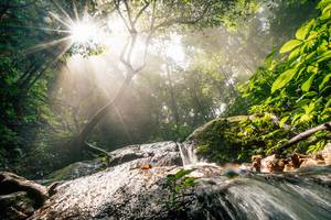 BIB: 
                            <button type="button" onclick="openModal(25212163)" class="btn btn-primary btn-sm float-right btn-popup" data-toggle="modal" data-target=".modal-high-quality">
                        <i class="fas fa-shopping-cart"></i> Add to Cart
                    </button>
                                            <button type="button" onclick="isThisMe(25212163, true)" class="btn btn-success btn-sm float-right btn-popup btn-isme hidden" data-toggle="tooltip" data-placement="bottom" title="นี่คือรูปของคุณใช่ไหม คลิกที่นี่เพื่อเอาเข้าอัลบั้ม">
                        <i class="fas fa-plus"></i> Add to album
                    </button>
                    <button type="button" onclick="isThisMe(25212163, false)" class="btn btn-warning btn-sm float-right btn-popup btn-isnotme hidden">
                        <i class="fas fa-ban"></i> Remove from album
                    </button>