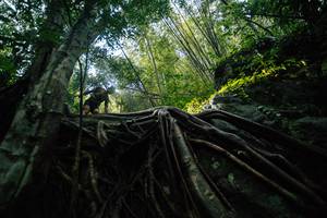 BIB: 
                            <button type="button" onclick="openModal(25211928)" class="btn btn-primary btn-sm float-right btn-popup" data-toggle="modal" data-target=".modal-high-quality">
                        <i class="fas fa-shopping-cart"></i> Add to Cart
                    </button>
                                            <button type="button" onclick="isThisMe(25211928, true)" class="btn btn-success btn-sm float-right btn-popup btn-isme hidden" data-toggle="tooltip" data-placement="bottom" title="นี่คือรูปของคุณใช่ไหม คลิกที่นี่เพื่อเอาเข้าอัลบั้ม">
                        <i class="fas fa-plus"></i> Add to album
                    </button>
                    <button type="button" onclick="isThisMe(25211928, false)" class="btn btn-warning btn-sm float-right btn-popup btn-isnotme hidden">
                        <i class="fas fa-ban"></i> Remove from album
                    </button>