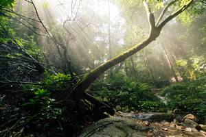 BIB: 
                            <button type="button" onclick="openModal(25212176)" class="btn btn-primary btn-sm float-right btn-popup" data-toggle="modal" data-target=".modal-high-quality">
                        <i class="fas fa-shopping-cart"></i> Add to Cart
                    </button>
                                            <button type="button" onclick="isThisMe(25212176, true)" class="btn btn-success btn-sm float-right btn-popup btn-isme hidden" data-toggle="tooltip" data-placement="bottom" title="นี่คือรูปของคุณใช่ไหม คลิกที่นี่เพื่อเอาเข้าอัลบั้ม">
                        <i class="fas fa-plus"></i> Add to album
                    </button>
                    <button type="button" onclick="isThisMe(25212176, false)" class="btn btn-warning btn-sm float-right btn-popup btn-isnotme hidden">
                        <i class="fas fa-ban"></i> Remove from album
                    </button>