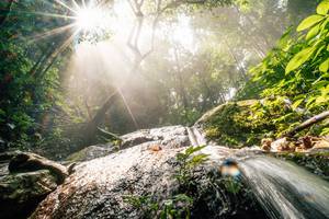 BIB: 
                            <button type="button" onclick="openModal(25212167)" class="btn btn-primary btn-sm float-right btn-popup" data-toggle="modal" data-target=".modal-high-quality">
                        <i class="fas fa-shopping-cart"></i> Add to Cart
                    </button>
                                            <button type="button" onclick="isThisMe(25212167, true)" class="btn btn-success btn-sm float-right btn-popup btn-isme hidden" data-toggle="tooltip" data-placement="bottom" title="นี่คือรูปของคุณใช่ไหม คลิกที่นี่เพื่อเอาเข้าอัลบั้ม">
                        <i class="fas fa-plus"></i> Add to album
                    </button>
                    <button type="button" onclick="isThisMe(25212167, false)" class="btn btn-warning btn-sm float-right btn-popup btn-isnotme hidden">
                        <i class="fas fa-ban"></i> Remove from album
                    </button>