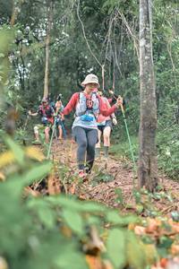 BIB: 
                            <button type="button" onclick="openModal(25151133)" class="btn btn-primary btn-sm float-right btn-popup" data-toggle="modal" data-target=".modal-high-quality">
                        <i class="fas fa-shopping-cart"></i> Add to Cart
                    </button>
                                            <button type="button" onclick="isThisMe(25151133, true)" class="btn btn-success btn-sm float-right btn-popup btn-isme hidden" data-toggle="tooltip" data-placement="bottom" title="นี่คือรูปของคุณใช่ไหม คลิกที่นี่เพื่อเอาเข้าอัลบั้ม">
                        <i class="fas fa-plus"></i> Add to album
                    </button>
                    <button type="button" onclick="isThisMe(25151133, false)" class="btn btn-warning btn-sm float-right btn-popup btn-isnotme hidden">
                        <i class="fas fa-ban"></i> Remove from album
                    </button>