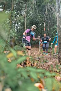 BIB: 
                            <button type="button" onclick="openModal(25151632)" class="btn btn-primary btn-sm float-right btn-popup" data-toggle="modal" data-target=".modal-high-quality">
                        <i class="fas fa-shopping-cart"></i> Add to Cart
                    </button>
                                            <button type="button" onclick="isThisMe(25151632, true)" class="btn btn-success btn-sm float-right btn-popup btn-isme hidden" data-toggle="tooltip" data-placement="bottom" title="นี่คือรูปของคุณใช่ไหม คลิกที่นี่เพื่อเอาเข้าอัลบั้ม">
                        <i class="fas fa-plus"></i> Add to album
                    </button>
                    <button type="button" onclick="isThisMe(25151632, false)" class="btn btn-warning btn-sm float-right btn-popup btn-isnotme hidden">
                        <i class="fas fa-ban"></i> Remove from album
                    </button>