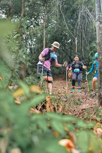 BIB: 
                            <button type="button" onclick="openModal(25151631)" class="btn btn-primary btn-sm float-right btn-popup" data-toggle="modal" data-target=".modal-high-quality">
                        <i class="fas fa-shopping-cart"></i> Add to Cart
                    </button>
                                            <button type="button" onclick="isThisMe(25151631, true)" class="btn btn-success btn-sm float-right btn-popup btn-isme hidden" data-toggle="tooltip" data-placement="bottom" title="นี่คือรูปของคุณใช่ไหม คลิกที่นี่เพื่อเอาเข้าอัลบั้ม">
                        <i class="fas fa-plus"></i> Add to album
                    </button>
                    <button type="button" onclick="isThisMe(25151631, false)" class="btn btn-warning btn-sm float-right btn-popup btn-isnotme hidden">
                        <i class="fas fa-ban"></i> Remove from album
                    </button>