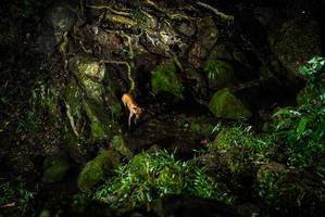 BIB: 
                            <button type="button" onclick="openModal(25199785)" class="btn btn-primary btn-sm float-right btn-popup" data-toggle="modal" data-target=".modal-high-quality">
                        <i class="fas fa-shopping-cart"></i> Add to Cart
                    </button>
                                            <button type="button" onclick="isThisMe(25199785, true)" class="btn btn-success btn-sm float-right btn-popup btn-isme hidden" data-toggle="tooltip" data-placement="bottom" title="นี่คือรูปของคุณใช่ไหม คลิกที่นี่เพื่อเอาเข้าอัลบั้ม">
                        <i class="fas fa-plus"></i> Add to album
                    </button>
                    <button type="button" onclick="isThisMe(25199785, false)" class="btn btn-warning btn-sm float-right btn-popup btn-isnotme hidden">
                        <i class="fas fa-ban"></i> Remove from album
                    </button>