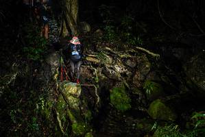 BIB: 
                            <button type="button" onclick="openModal(25199815)" class="btn btn-primary btn-sm float-right btn-popup" data-toggle="modal" data-target=".modal-high-quality">
                        <i class="fas fa-shopping-cart"></i> Add to Cart
                    </button>
                                            <button type="button" onclick="isThisMe(25199815, true)" class="btn btn-success btn-sm float-right btn-popup btn-isme hidden" data-toggle="tooltip" data-placement="bottom" title="นี่คือรูปของคุณใช่ไหม คลิกที่นี่เพื่อเอาเข้าอัลบั้ม">
                        <i class="fas fa-plus"></i> Add to album
                    </button>
                    <button type="button" onclick="isThisMe(25199815, false)" class="btn btn-warning btn-sm float-right btn-popup btn-isnotme hidden">
                        <i class="fas fa-ban"></i> Remove from album
                    </button>