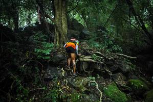 BIB: 
                            <button type="button" onclick="openModal(25198338)" class="btn btn-primary btn-sm float-right btn-popup" data-toggle="modal" data-target=".modal-high-quality">
                        <i class="fas fa-shopping-cart"></i> Add to Cart
                    </button>
                                            <button type="button" onclick="isThisMe(25198338, true)" class="btn btn-success btn-sm float-right btn-popup btn-isme hidden" data-toggle="tooltip" data-placement="bottom" title="นี่คือรูปของคุณใช่ไหม คลิกที่นี่เพื่อเอาเข้าอัลบั้ม">
                        <i class="fas fa-plus"></i> Add to album
                    </button>
                    <button type="button" onclick="isThisMe(25198338, false)" class="btn btn-warning btn-sm float-right btn-popup btn-isnotme hidden">
                        <i class="fas fa-ban"></i> Remove from album
                    </button>