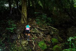 BIB: 
                            <button type="button" onclick="openModal(25198759)" class="btn btn-primary btn-sm float-right btn-popup" data-toggle="modal" data-target=".modal-high-quality">
                        <i class="fas fa-shopping-cart"></i> Add to Cart
                    </button>
                                            <button type="button" onclick="isThisMe(25198759, true)" class="btn btn-success btn-sm float-right btn-popup btn-isme hidden" data-toggle="tooltip" data-placement="bottom" title="นี่คือรูปของคุณใช่ไหม คลิกที่นี่เพื่อเอาเข้าอัลบั้ม">
                        <i class="fas fa-plus"></i> Add to album
                    </button>
                    <button type="button" onclick="isThisMe(25198759, false)" class="btn btn-warning btn-sm float-right btn-popup btn-isnotme hidden">
                        <i class="fas fa-ban"></i> Remove from album
                    </button>