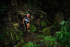 BIB: 
                            <button type="button" onclick="openModal(25199104)" class="btn btn-primary btn-sm float-right btn-popup" data-toggle="modal" data-target=".modal-high-quality">
                        <i class="fas fa-shopping-cart"></i> Add to Cart
                    </button>
                                            <button type="button" onclick="isThisMe(25199104, true)" class="btn btn-success btn-sm float-right btn-popup btn-isme hidden" data-toggle="tooltip" data-placement="bottom" title="นี่คือรูปของคุณใช่ไหม คลิกที่นี่เพื่อเอาเข้าอัลบั้ม">
                        <i class="fas fa-plus"></i> Add to album
                    </button>
                    <button type="button" onclick="isThisMe(25199104, false)" class="btn btn-warning btn-sm float-right btn-popup btn-isnotme hidden">
                        <i class="fas fa-ban"></i> Remove from album
                    </button>