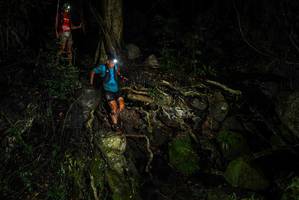 BIB: 
                            <button type="button" onclick="openModal(25201790)" class="btn btn-primary btn-sm float-right btn-popup" data-toggle="modal" data-target=".modal-high-quality">
                        <i class="fas fa-shopping-cart"></i> Add to Cart
                    </button>
                                            <button type="button" onclick="isThisMe(25201790, true)" class="btn btn-success btn-sm float-right btn-popup btn-isme hidden" data-toggle="tooltip" data-placement="bottom" title="นี่คือรูปของคุณใช่ไหม คลิกที่นี่เพื่อเอาเข้าอัลบั้ม">
                        <i class="fas fa-plus"></i> Add to album
                    </button>
                    <button type="button" onclick="isThisMe(25201790, false)" class="btn btn-warning btn-sm float-right btn-popup btn-isnotme hidden">
                        <i class="fas fa-ban"></i> Remove from album
                    </button>