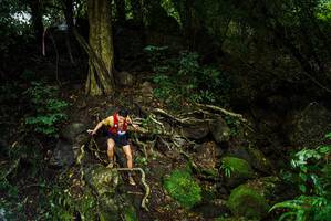 BIB: 
                            <button type="button" onclick="openModal(25198746)" class="btn btn-primary btn-sm float-right btn-popup" data-toggle="modal" data-target=".modal-high-quality">
                        <i class="fas fa-shopping-cart"></i> Add to Cart
                    </button>
                                            <button type="button" onclick="isThisMe(25198746, true)" class="btn btn-success btn-sm float-right btn-popup btn-isme hidden" data-toggle="tooltip" data-placement="bottom" title="นี่คือรูปของคุณใช่ไหม คลิกที่นี่เพื่อเอาเข้าอัลบั้ม">
                        <i class="fas fa-plus"></i> Add to album
                    </button>
                    <button type="button" onclick="isThisMe(25198746, false)" class="btn btn-warning btn-sm float-right btn-popup btn-isnotme hidden">
                        <i class="fas fa-ban"></i> Remove from album
                    </button>