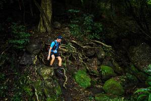 BIB: 
                            <button type="button" onclick="openModal(25199048)" class="btn btn-primary btn-sm float-right btn-popup" data-toggle="modal" data-target=".modal-high-quality">
                        <i class="fas fa-shopping-cart"></i> Add to Cart
                    </button>
                                            <button type="button" onclick="isThisMe(25199048, true)" class="btn btn-success btn-sm float-right btn-popup btn-isme hidden" data-toggle="tooltip" data-placement="bottom" title="นี่คือรูปของคุณใช่ไหม คลิกที่นี่เพื่อเอาเข้าอัลบั้ม">
                        <i class="fas fa-plus"></i> Add to album
                    </button>
                    <button type="button" onclick="isThisMe(25199048, false)" class="btn btn-warning btn-sm float-right btn-popup btn-isnotme hidden">
                        <i class="fas fa-ban"></i> Remove from album
                    </button>