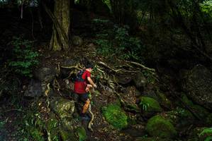 BIB: 
                            <button type="button" onclick="openModal(25198871)" class="btn btn-primary btn-sm float-right btn-popup" data-toggle="modal" data-target=".modal-high-quality">
                        <i class="fas fa-shopping-cart"></i> Add to Cart
                    </button>
                                            <button type="button" onclick="isThisMe(25198871, true)" class="btn btn-success btn-sm float-right btn-popup btn-isme hidden" data-toggle="tooltip" data-placement="bottom" title="นี่คือรูปของคุณใช่ไหม คลิกที่นี่เพื่อเอาเข้าอัลบั้ม">
                        <i class="fas fa-plus"></i> Add to album
                    </button>
                    <button type="button" onclick="isThisMe(25198871, false)" class="btn btn-warning btn-sm float-right btn-popup btn-isnotme hidden">
                        <i class="fas fa-ban"></i> Remove from album
                    </button>