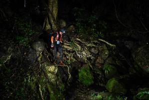 BIB: 
                            <button type="button" onclick="openModal(25200002)" class="btn btn-primary btn-sm float-right btn-popup" data-toggle="modal" data-target=".modal-high-quality">
                        <i class="fas fa-shopping-cart"></i> Add to Cart
                    </button>
                                            <button type="button" onclick="isThisMe(25200002, true)" class="btn btn-success btn-sm float-right btn-popup btn-isme hidden" data-toggle="tooltip" data-placement="bottom" title="นี่คือรูปของคุณใช่ไหม คลิกที่นี่เพื่อเอาเข้าอัลบั้ม">
                        <i class="fas fa-plus"></i> Add to album
                    </button>
                    <button type="button" onclick="isThisMe(25200002, false)" class="btn btn-warning btn-sm float-right btn-popup btn-isnotme hidden">
                        <i class="fas fa-ban"></i> Remove from album
                    </button>