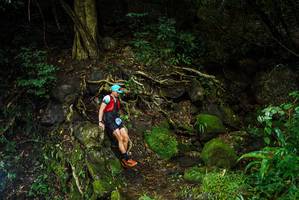 BIB: 
                            <button type="button" onclick="openModal(25198785)" class="btn btn-primary btn-sm float-right btn-popup" data-toggle="modal" data-target=".modal-high-quality">
                        <i class="fas fa-shopping-cart"></i> Add to Cart
                    </button>
                                            <button type="button" onclick="isThisMe(25198785, true)" class="btn btn-success btn-sm float-right btn-popup btn-isme hidden" data-toggle="tooltip" data-placement="bottom" title="นี่คือรูปของคุณใช่ไหม คลิกที่นี่เพื่อเอาเข้าอัลบั้ม">
                        <i class="fas fa-plus"></i> Add to album
                    </button>
                    <button type="button" onclick="isThisMe(25198785, false)" class="btn btn-warning btn-sm float-right btn-popup btn-isnotme hidden">
                        <i class="fas fa-ban"></i> Remove from album
                    </button>