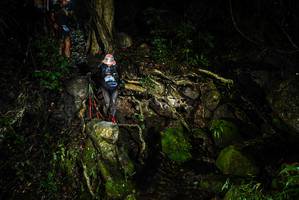 BIB: 
                            <button type="button" onclick="openModal(25199811)" class="btn btn-primary btn-sm float-right btn-popup" data-toggle="modal" data-target=".modal-high-quality">
                        <i class="fas fa-shopping-cart"></i> Add to Cart
                    </button>
                                            <button type="button" onclick="isThisMe(25199811, true)" class="btn btn-success btn-sm float-right btn-popup btn-isme hidden" data-toggle="tooltip" data-placement="bottom" title="นี่คือรูปของคุณใช่ไหม คลิกที่นี่เพื่อเอาเข้าอัลบั้ม">
                        <i class="fas fa-plus"></i> Add to album
                    </button>
                    <button type="button" onclick="isThisMe(25199811, false)" class="btn btn-warning btn-sm float-right btn-popup btn-isnotme hidden">
                        <i class="fas fa-ban"></i> Remove from album
                    </button>