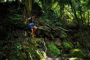 BIB: 
                            <button type="button" onclick="openModal(25198235)" class="btn btn-primary btn-sm float-right btn-popup" data-toggle="modal" data-target=".modal-high-quality">
                        <i class="fas fa-shopping-cart"></i> Add to Cart
                    </button>
                                            <button type="button" onclick="isThisMe(25198235, true)" class="btn btn-success btn-sm float-right btn-popup btn-isme hidden" data-toggle="tooltip" data-placement="bottom" title="นี่คือรูปของคุณใช่ไหม คลิกที่นี่เพื่อเอาเข้าอัลบั้ม">
                        <i class="fas fa-plus"></i> Add to album
                    </button>
                    <button type="button" onclick="isThisMe(25198235, false)" class="btn btn-warning btn-sm float-right btn-popup btn-isnotme hidden">
                        <i class="fas fa-ban"></i> Remove from album
                    </button>